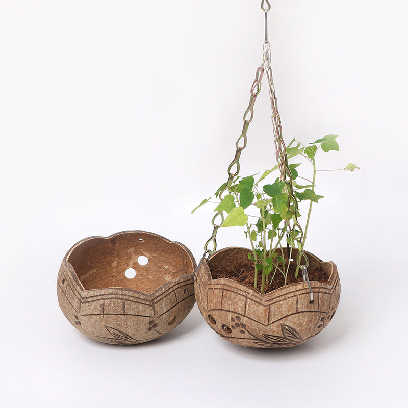 Creative coconut shell flower pot