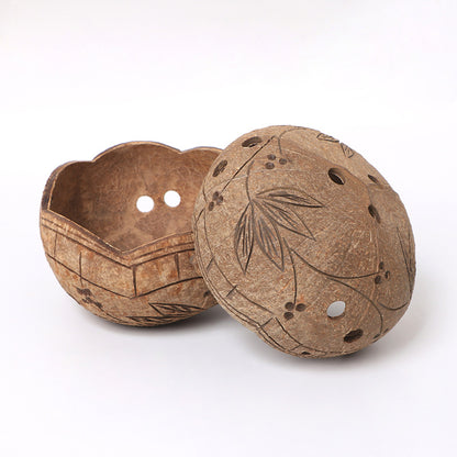 Creative coconut shell flower pot