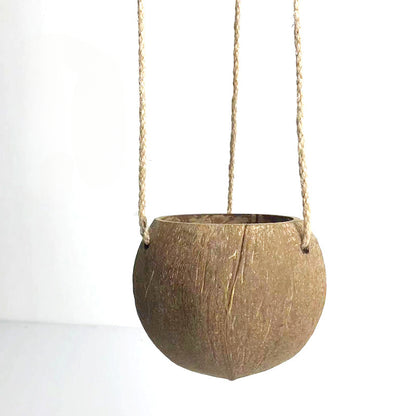 Creative natural coconut shell hanging plant basket